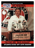 Falcons are 