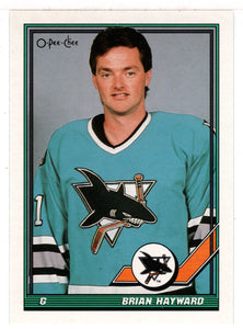 Brian Hayward - San Jose Sharks (NHL Hockey Card) 1991-92 O-Pee-Chee # 178 Mint