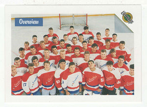 Draft Picks Overview Group Shot (NHL Hockey Card) 1991 Ultimate Draft Picks # 89 Mint