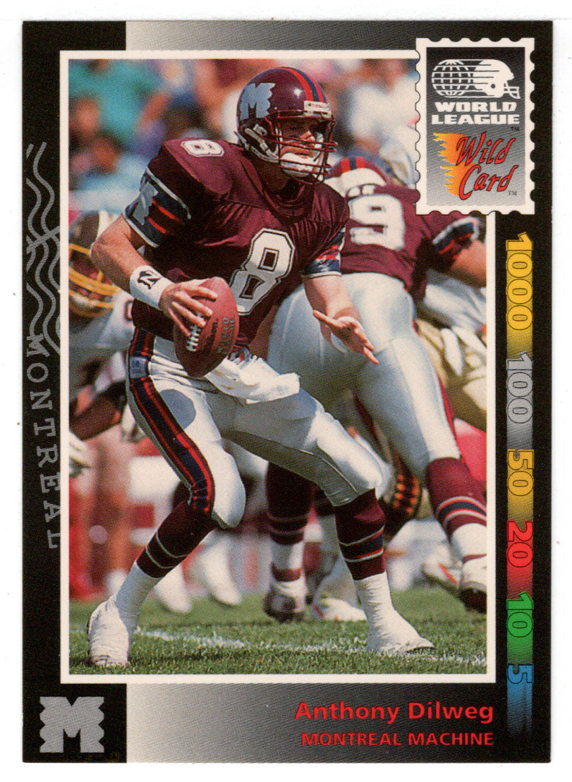 Anthony Dilweg - Montreal Machine (WLAF Football Card) 1992 Wild