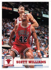 Scott Williams - Chicago Bulls (NBA Basketball Card) 1993-94 Hoops # 33 Mint