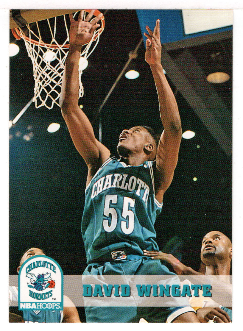 David Wingate - Charlotte Hornets (NBA Basketball Card) 1993-94 Hoops # 310 Mint