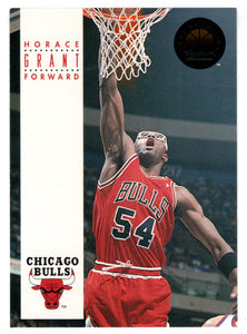 Horace Grant - Chicago Bulls (NBA Basketball Card) 1993-94 SkyBox Premium # 44 Mint