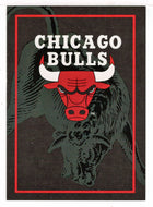 Chicago Bulls - Team Logo (NBA Basketball Card) 1994-95 Hoops # 394 Mint