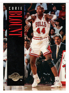 Corie Blount - Chicago Bulls (NBA Basketball Card) 1994-95 SkyBox Premium # 22 Mint