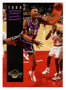 Todd Day - Milwaukee Bucks (NBA Basketball Card) 1994-95 SkyBox Premium # 93 Mint
