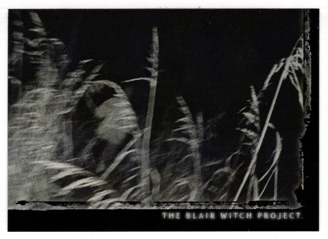 Attacked (Trading Card) The Blair Witch Project - 1999 Topps # 53 - Mint