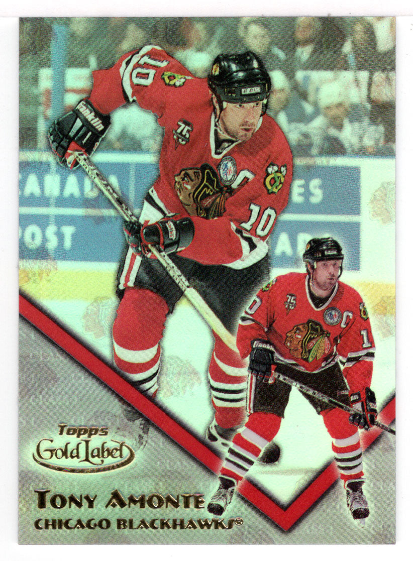 Tony Amonte - Chicago Blackhawks (NHL Hockey Card) 2000-01 Topps Gold Label Class 1 # 74 Mint