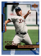 Chris Wakeland RC - Detroit Tigers - Star Rookies (MLB Baseball Card) 2000 Upper Deck # 293 Mint