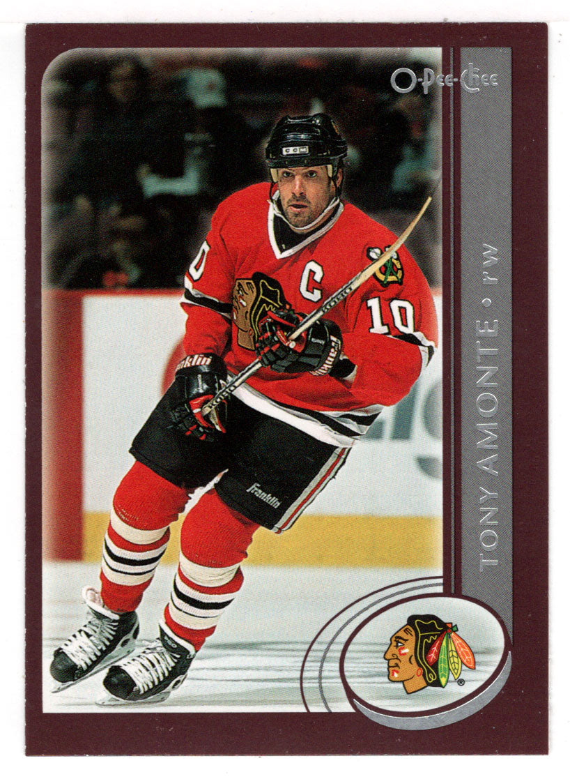 Tony Amonte - Chicago Blackhawks (NHL Hockey Card) 2002-03 O-Pee-Chee # 9 Mint