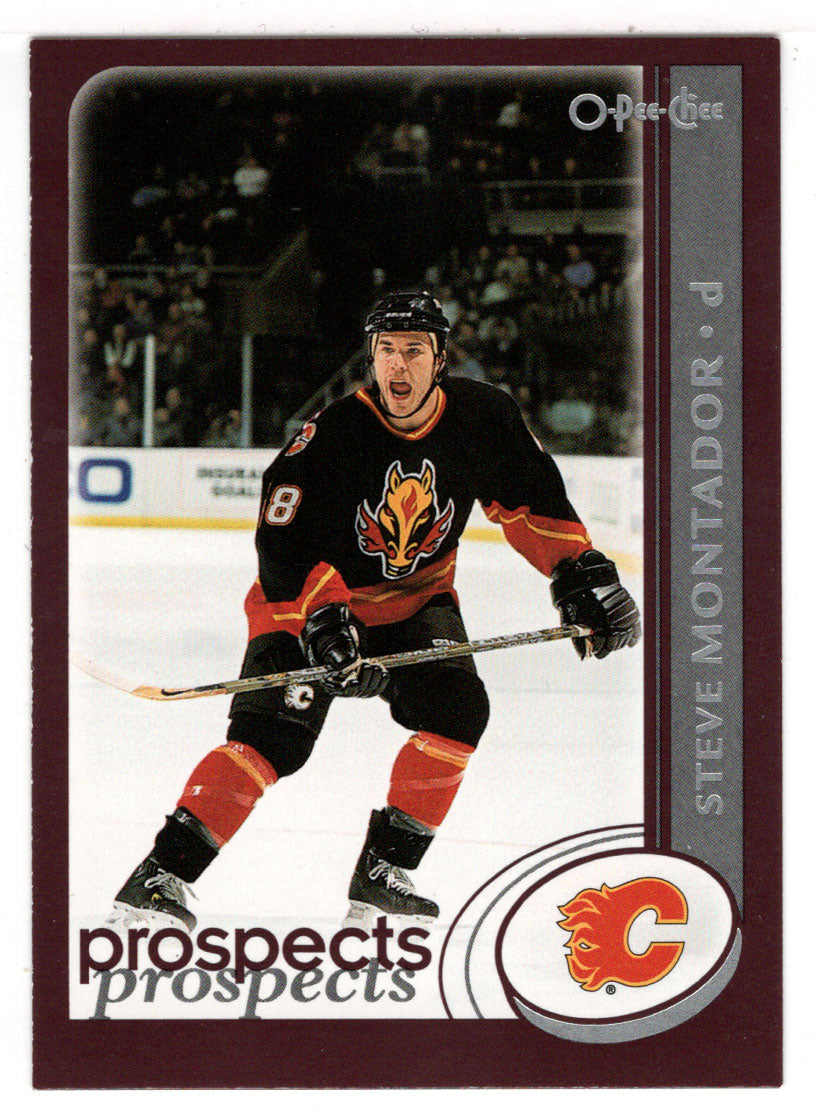 Steve Montador - Calgary Flames - Prospects (NHL Hockey Card) 2002-03 O-Pee-Chee # 303 Mint