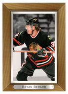 Bryan Berard - Chicago Blackhawks (NHL Hockey Card) 2003-04 Upper Deck Bee Hive # 39 Mint