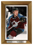 Derek Morris - Colorado Avalanche (NHL Hockey Card) 2003-04 Upper Deck Bee Hive # 49 Mint