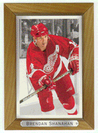 Brendan Shanahan - Detroit Red Wings (NHL Hockey Card) 2003-04 Upper Deck Bee Hive # 70 Mint