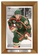 Andrew Brunette - Minnesota Wild (NHL Hockey Card) 2003-04 Upper Deck Bee Hive # 94 Mint