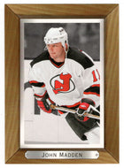 John Madden - New Jersey Devils (NHL Hockey Card) 2003-04 Upper Deck Bee Hive # 113 Mint