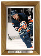 Eric Godard - New York Islanders (NHL Hockey Card) 2003-04 Upper Deck Bee Hive # 121 Mint