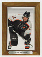 Tony Amonte - Philadelphia Flyers (NHL Hockey Card) 2003-04 Upper Deck Bee Hive # 144 Mint