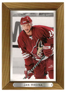 Jan Hrdina - Phoenix Coyotes (NHL Hockey Card) 2003-04 Upper Deck Bee Hive # 151 Mint