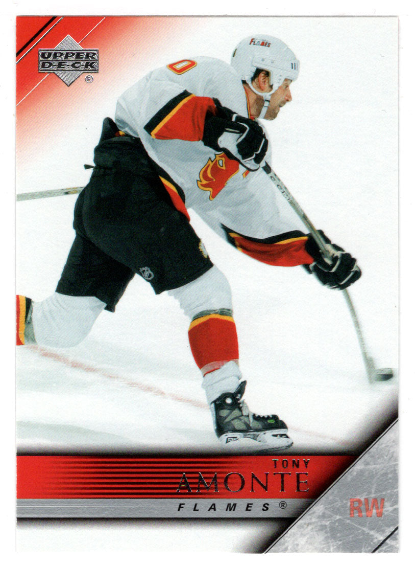 Tony Amonte - Calgary Flames (NHL Hockey Card) 2005-06 Upper Deck # 272 Mint