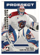 Yann Danis - Hamilton Bulldogs (NHL - Minor Hockey Card) 2006-07 ITG Heroes and Prospects # 36 Mint