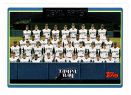 Tampa Bay Devil Rays - Team Checklist (MLB Baseball Card) 2006 Topps # 292 Mint