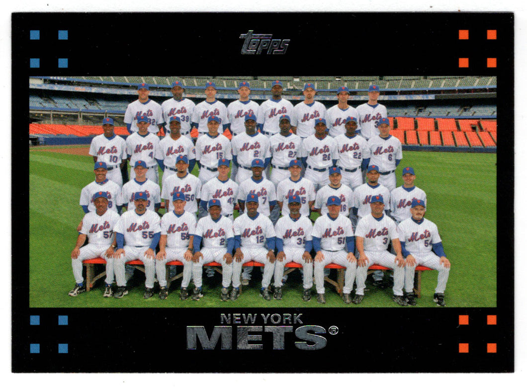 New York Mets - Team Leaders & Stats (MLB Baseball Card) 2007 Topps # 229 Mint