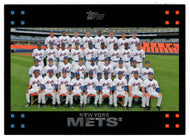 New York Mets - Team Leaders & Stats (MLB Baseball Card) 2007 Topps # 229 Mint