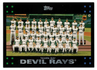 Tampa Bay Devil Rays - Team Leaders & Stats (MLB Baseball Card) 2007 Topps # 244 Mint