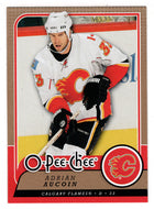 Adrian Aucoin - Calgary Flames (NHL Hockey Card) 2008-09 O-Pee-Chee # 255 Mint