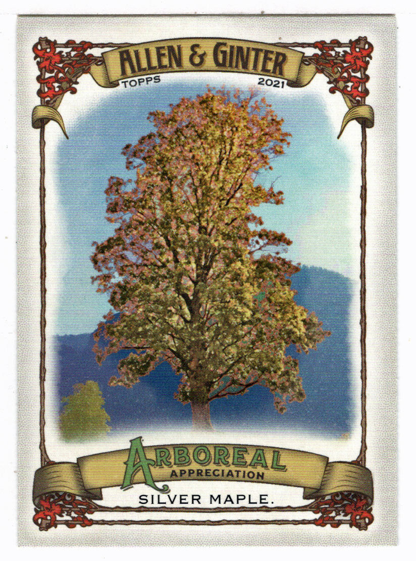Silver Maple (MLB Baseball Card) 2021 Topps Allen and Ginter Arboreal Appreciation # AA-3 Mint