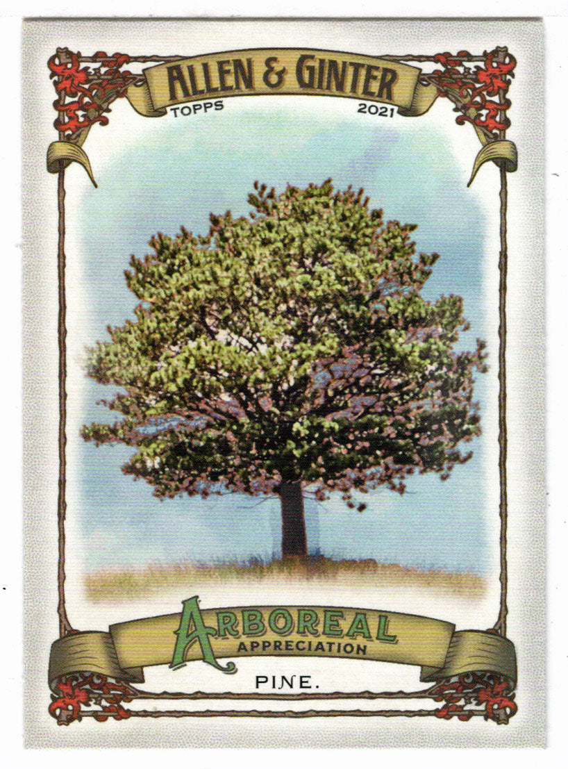 Pine (MLB Baseball Card) 2021 Topps Allen and Ginter Arboreal Appreciation # AA-12 Mint
