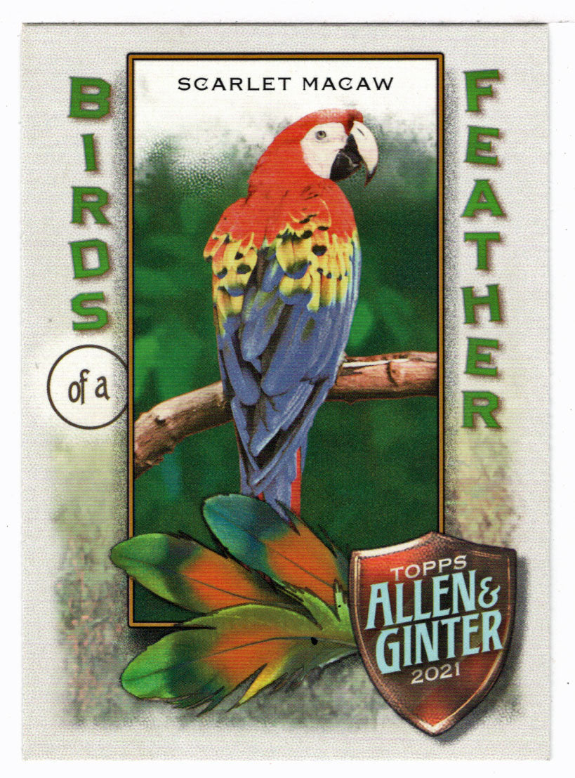 Scarlet Macaw (MLB Baseball Card) 2021 Topps Allen and Ginter Birds of a Feather # BOF-3 Mint