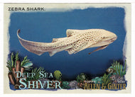 Zebra Shark (MLB Baseball Card) 2021 Topps Allen and Ginter Deep Sea Shiver # DSS-14 Mint