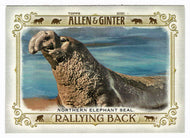 Northern Elephant Seal (MLB Baseball Card) 2021 Topps Allen and Ginter Rallying Back # RB-5 Mint