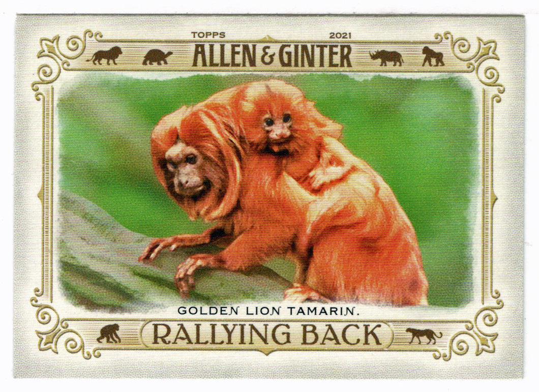 Golden Lion Tamarin (MLB Baseball Card) 2021 Topps Allen and Ginter Rallying Back # RB-8 Mint
