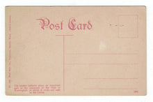 Load image into Gallery viewer, Train Load of Logs, Washington, USA Vintage Original Postcard # 4754 - New - 1950&#39;s
