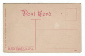 Train Load of Logs, Washington, USA Vintage Original Postcard # 4754 - New - 1950's