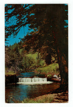Load image into Gallery viewer, Headwaters Little, Colorado, USA Vintage Original Postcard # 4766 - Post Marked March 12, 1957
