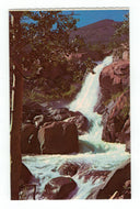 Alberta Falls, Rocky Mountain National Park, Colorado, USA Vintage Original Postcard # 4769 - New - 1970's