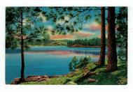 Scenic View of a Lake, USA Vintage Original Postcard # 4773 - New - 1960's