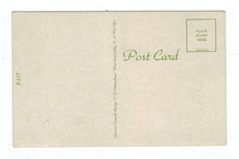 Load image into Gallery viewer, Scenic View of a Lake, USA Vintage Original Postcard # 4773 - New - 1960's
