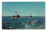 Fishing Draggers, New Brunswick, Canada Vintage Original Postcard # 4783 - New - 1960's