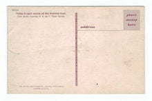 Load image into Gallery viewer, Fishing Draggers, New Brunswick, Canada Vintage Original Postcard # 4783 - New - 1960&#39;s
