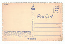 Load image into Gallery viewer, The Old Salt Along the New England Coast, USA Vintage Original Postcard # 4785 - New - 1960's

