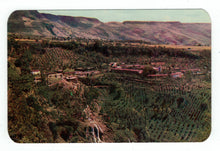 Load image into Gallery viewer, Scenic Landscape, Mexico Vintage Original Postcard # 4805 - New - 1960's
