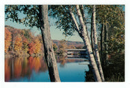 Covered Bridge - Ottauquechee River, Taftsville, Vermont, USA Vintage Original Postcard # 8409 - 1960's