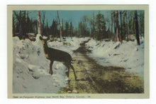 Load image into Gallery viewer, Deer on Ferguson Highway near North Bay, Ontario, Canada Vintage Original Postcard # 4827 - Post Marked July 5, 1946
