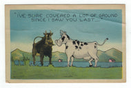 Greetings (I've sure covered a lot of ground since I saw you last) Vintage Original Postcard # 4828 - Post Marked August 25, 1943
