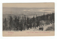 View from Emperor Wilhelm's Road at the Frogner Seat, Germany Vintage Original Postcard # 4834 - 1940's